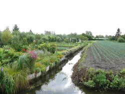 Hortillonnages di Amiens