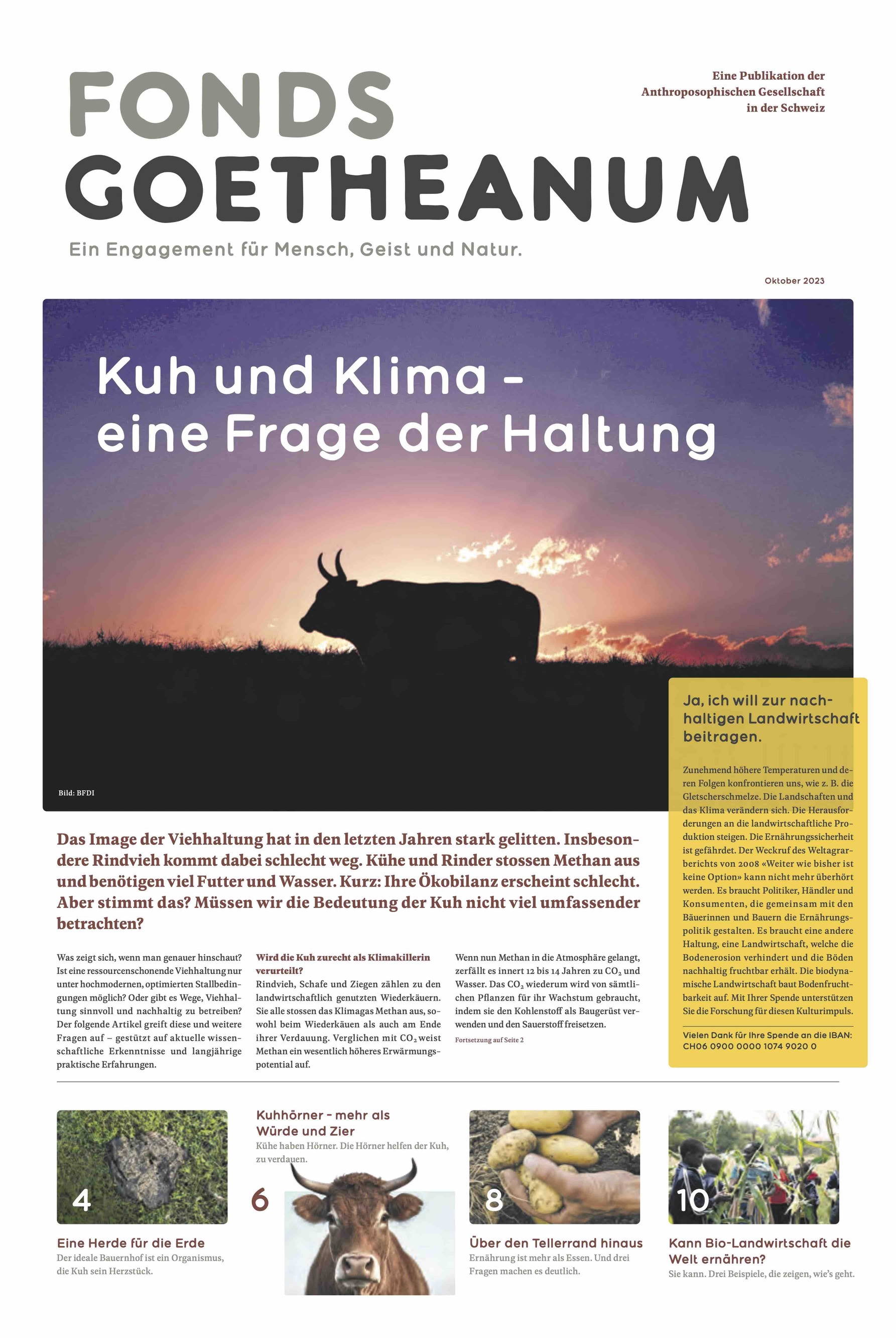 Kuh und Klima